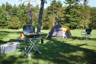 Camping Gasgrill Napoleon Camping Gasgrill Napoleon