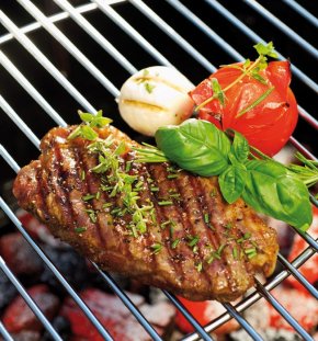Landmann Zubeh&ouml;r: Grillplatte pantera
