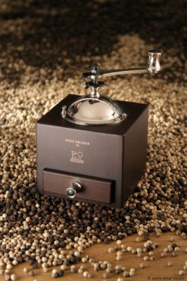 Peugeot Pfeffermühle d'Olivier Roellinger 13cm