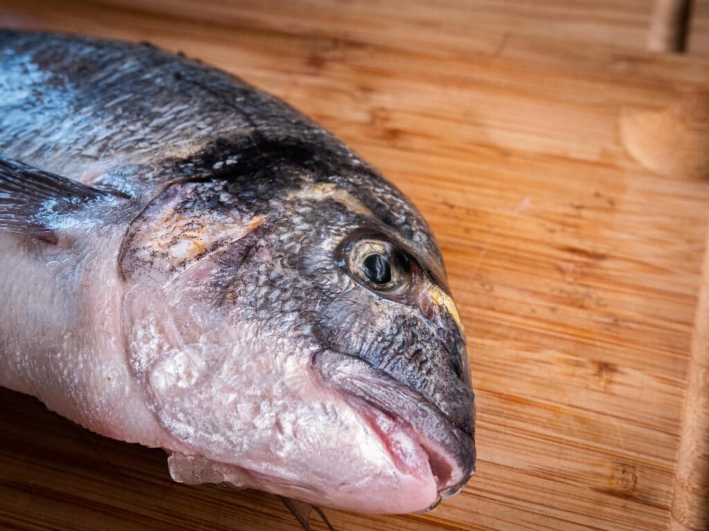 Frischer Fisch bereit zum Grillen
