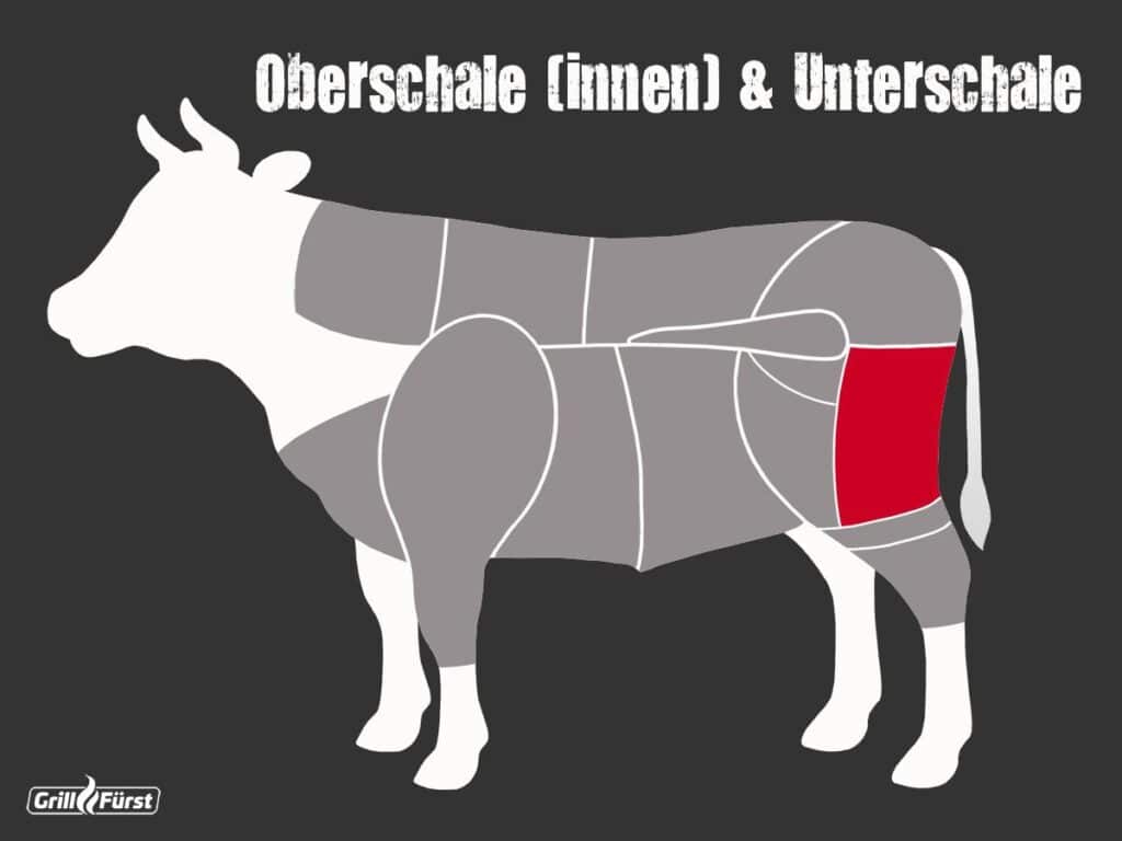 Lage Oberschale und Unterschale in der Rinderkeule als Grafik
