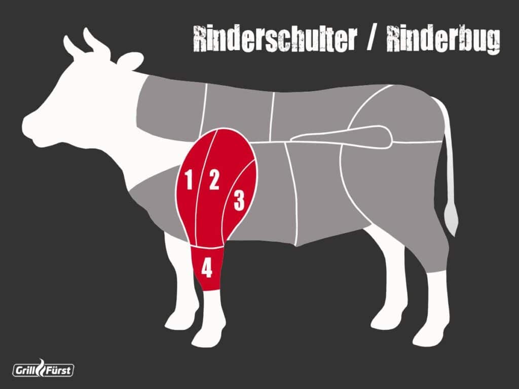 Grafik Lage Rinderschulter / Rinderbug und Cuts