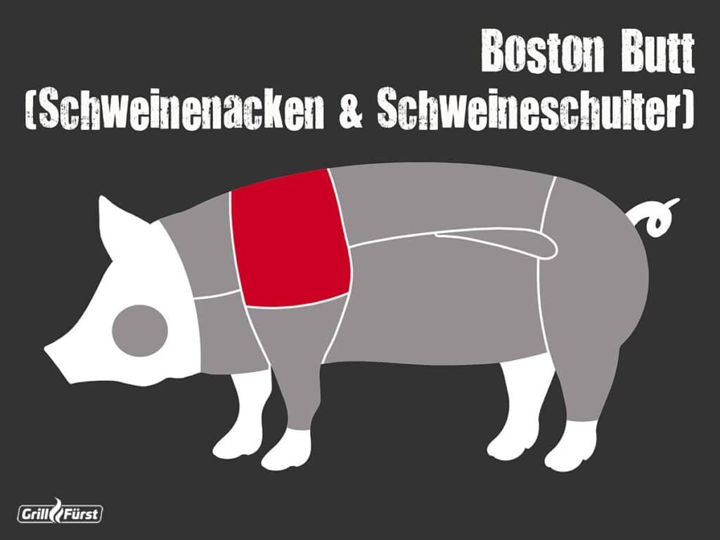 Lage Boston Butt beim Schwein als Grafik