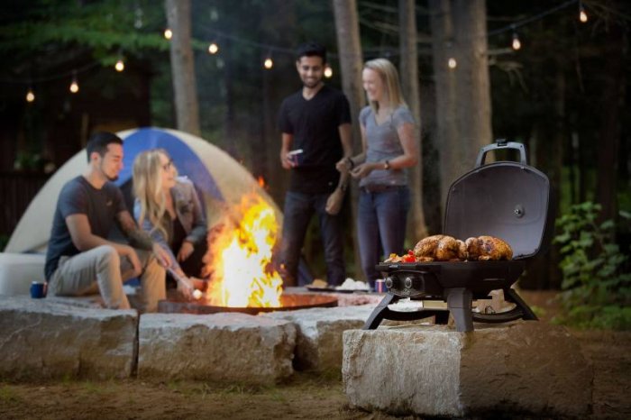 Perfekt geeignet als Campinggrill - kompakte Gasgrills wie der TravelQ von Napoleon
