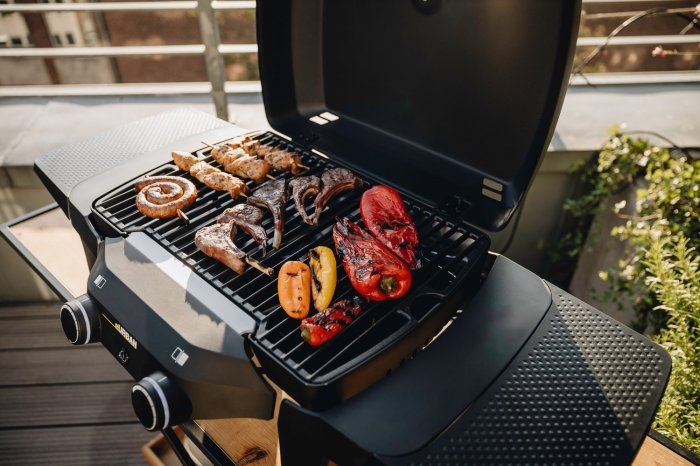 Enders eUrban 2 Elektrogrill mit Gussrost