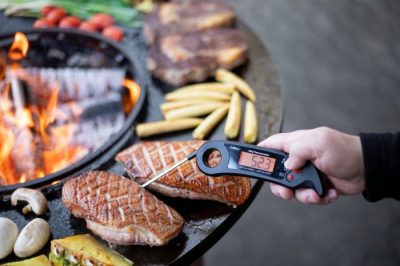 Grillfürst Fast-Pen Grillthermometer Grillfürst Fast-Pen Grillthermometer