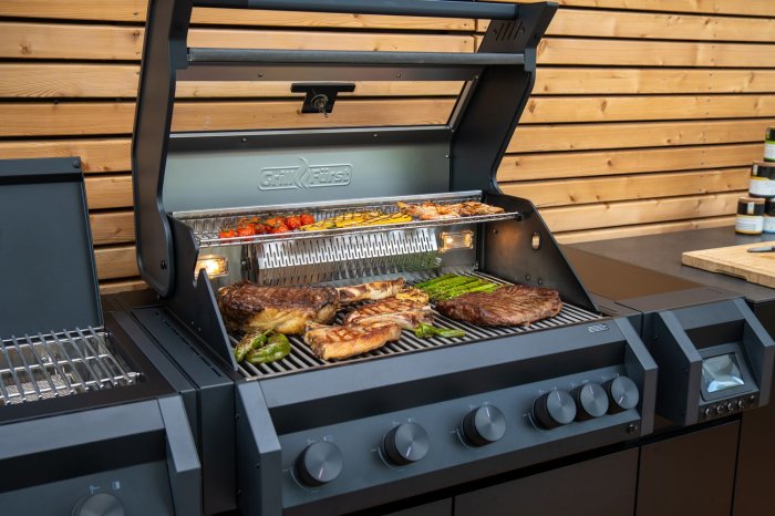Grillfürst Independence P590E Smartgrill