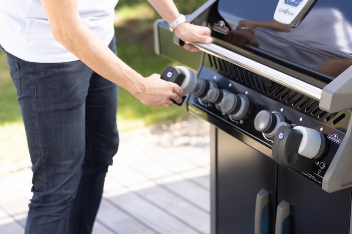 Grillfürst Smart Grill Companion Device