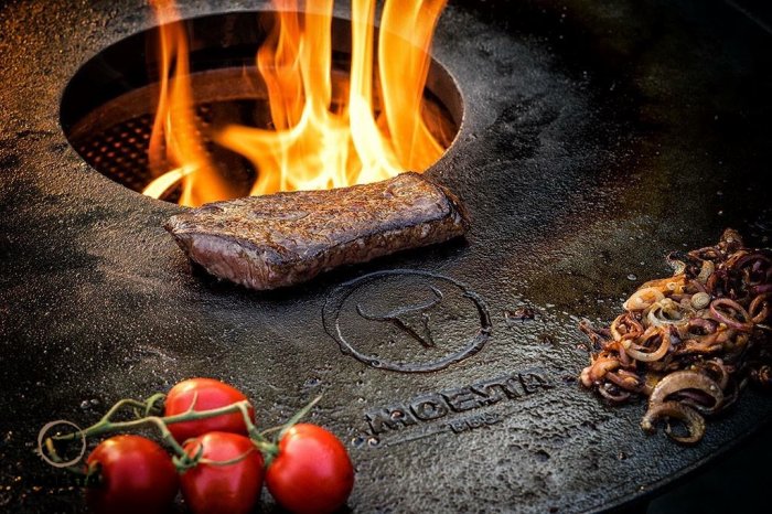 Moesta Feuerplatte aus Gusseisen - BBQ-Disk