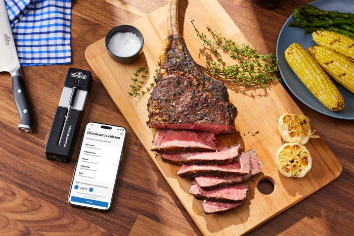 Das Napoleon ACCU-PROBE PRO X Bluetooth Thermometer