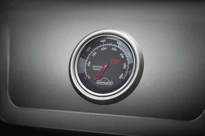 Napoleon Freestyle mit Deckelthermometer Napoleon Freestyle mit Deckelthermometer