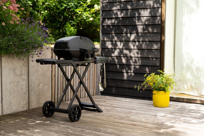 Napoleon Phantom TravelQ Gasgrill mit mattschwarzer Emaillierung