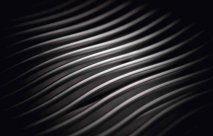 Napoleon Wave Grillroste Edelstahl