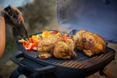 Vielfältige Zubereitungsmöglichkeiten mit dem Napoleon TravelQ Camping Gasgrill Abwechslung auf dem Grill-Speiseplan mit dem Napoleon Camping Gasgrill TravelQ