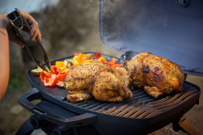 Abwechslung auf dem Grill-Speiseplan mit dem Napoleon Camping Gasgrill TravelQ