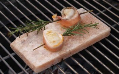 Don Marco´s Salzstein mit Grillgut Indirektes Grillen auf dem Salzstein