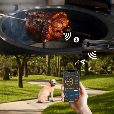 The MeatStick V mit integriertem WiFi The MeatStick V mit integriertem WiFi