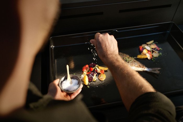 WMF Gas Plancha Grill Gas - Edition One 75 cm für maximale Vielfalt