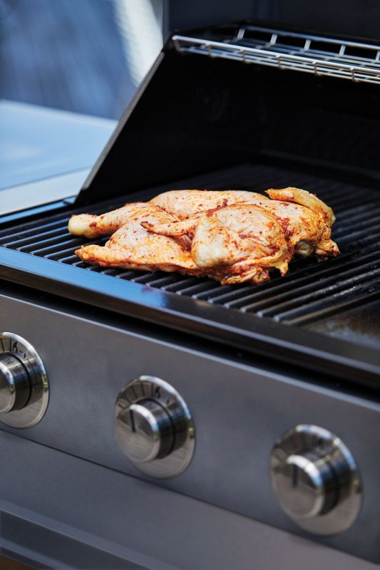 BeefEater Gasgrill 1700-Serie 4-Brenner - mit Seitenbrenner