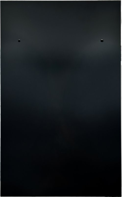 Grillfürst Ersatzteil: Linke Tür exkl. Griff G310