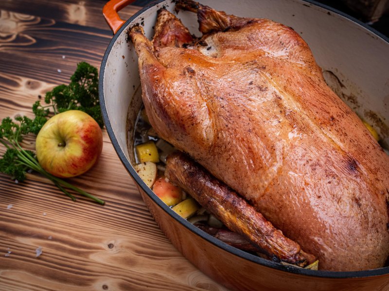 Grillfürst Dutch Oven Sternentöpfchen / Gusseisen Bräter - emailliert - XL - orange - Retoure