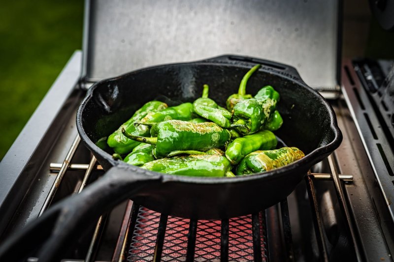 Grillfürst G750G 7-Brenner Doppelkammer - Gasgrill - 1. FC Köln Edition - Gusseisenroste