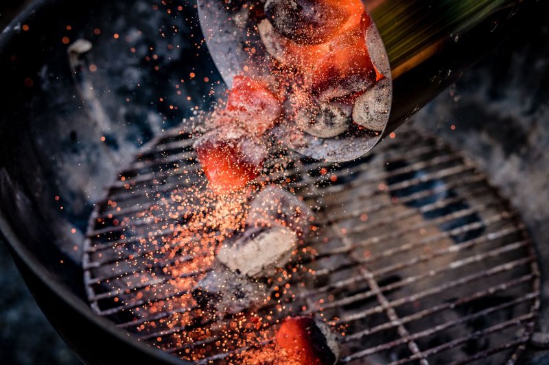 Grillfürst Grillbriketts 5kg - aus ökologisch wertvoller Produktion - 100% Eindringerbusch aus Namibia