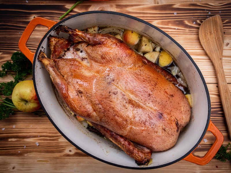 Grillfürst Dutch Oven Sternentöpfchen / Gusseisen Bräter - emailliert - XL - orange - Retoure