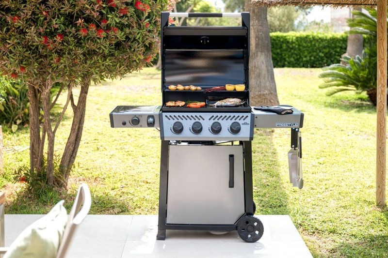 Napoleon Freestyle 425 Gasgrill, Graphit - mit Sizzle Zone und Tür - Modell 2025