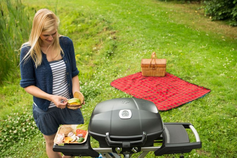Napoleon TravelQ PRO285 Kompakt Gasgrill Schwarz mit klappbarem Wagen - Modell 2025