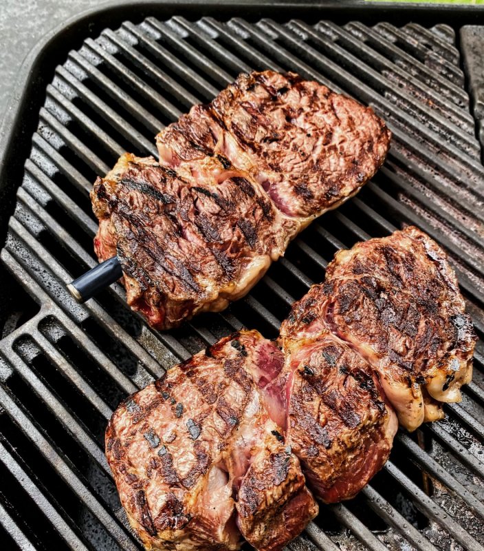 The MeatStick CHEF - WLAN / Bluetooth Grillthermometer in gelb