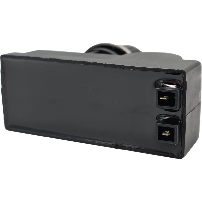 Grillfürst Ersatzteil: Zündung mit Zündknopf für Grillfürst Gasgrills mit Heckbrenner - G520 / G521 / G521 Smart / G620 / G621 / G750 (große Garkammer)