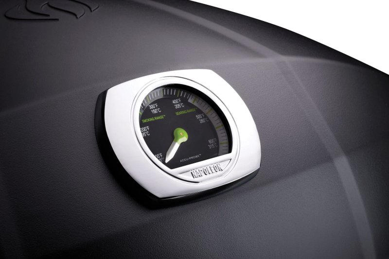 Napoleon TravelQ PRO285E Elektrogrill