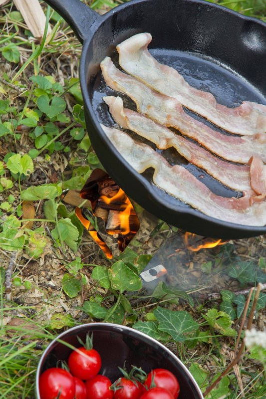 Petromax Feuerpfanne Gusseisen fp25-t mit Stiel