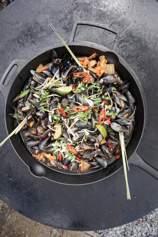 Petromax Feuerpfanne Gusseisen fp40-t mit Stiel