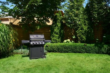 Napoleon Freestyle 425 Gasgrill, Mattschwarz - Modell 2027