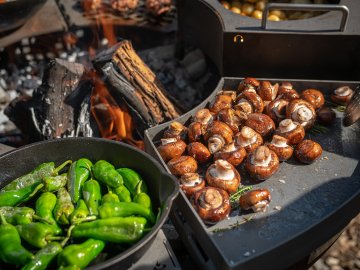 Remundi Grill Modul Bratpfanne mit Rand