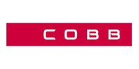 Cobb Campinggrill bei Grillfürst Bad Hersfeld