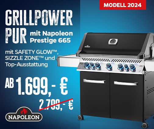 Napoleon Prestige 665