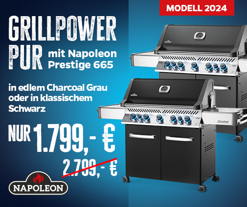 Napoleon Prestige 665